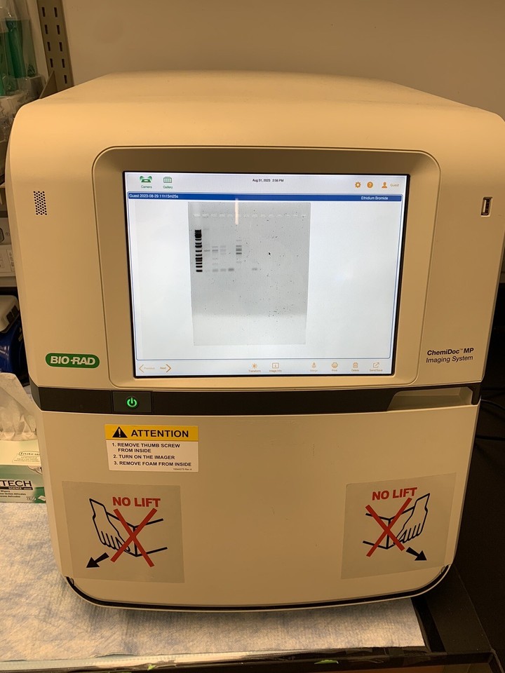 ChemiDoc™ MP Imaging System 12003154 eBay