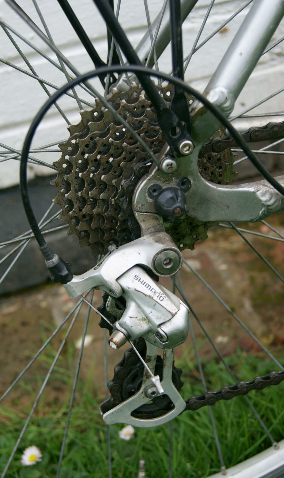 ridgeback meteor ladies