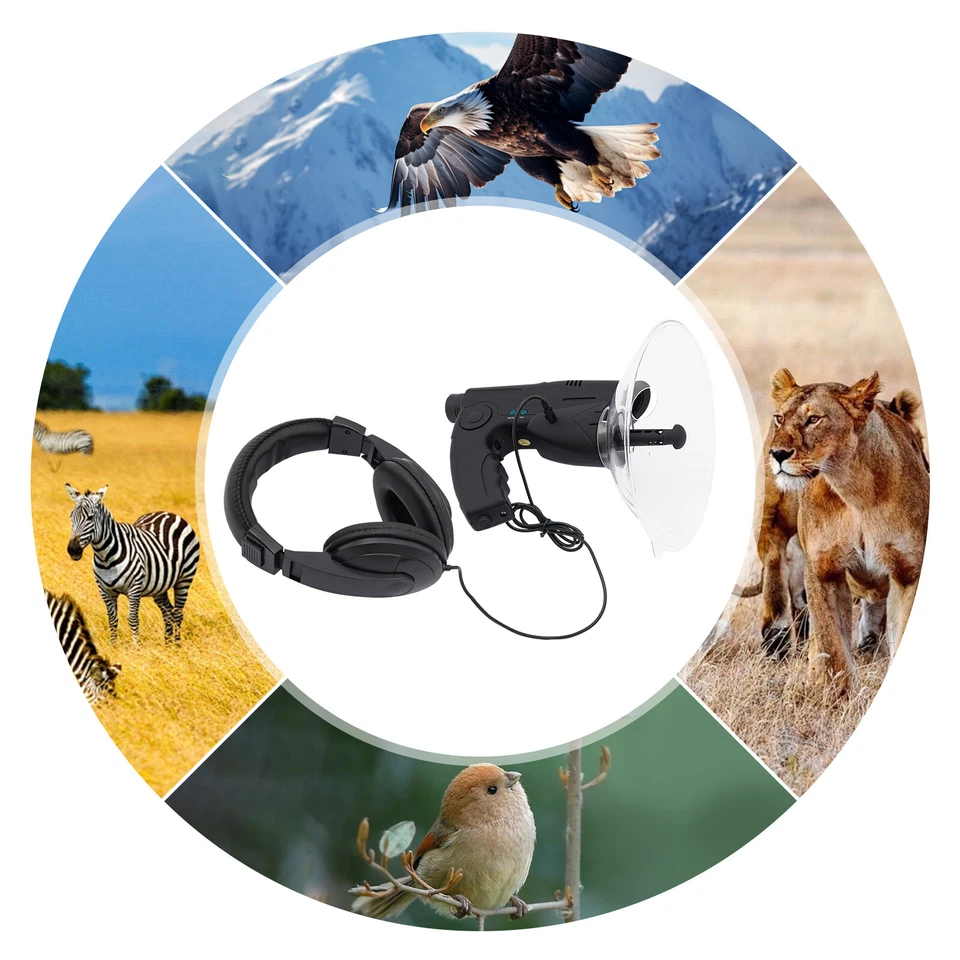 Vogelaufnahme Tiere Beobachtung Hörgerät Mikrofon-Hörgerät Vogelhorchgeräte - Bild 4 von 4