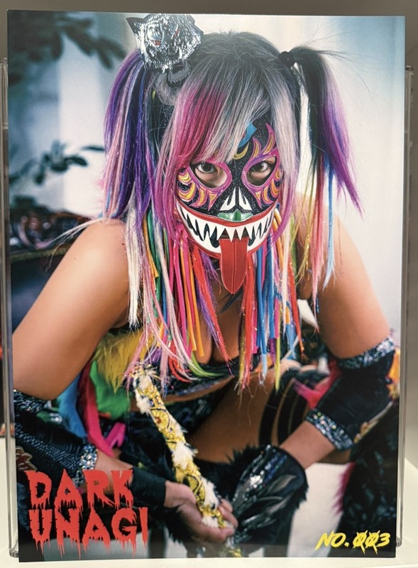 2024 STARDOM Unagi Sayaka "Dark Unagi" No.003 Portrait NJPW WWE AEW Marigold NXT