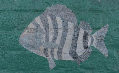 #ad #ad Photo:Port Isabel Texas 1906 Champion Building Fish Mural Mosaic $13.49