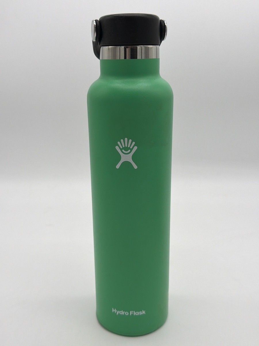 Hydro Flask 24 Oz Standard Mouth Water Bottle Spearmint With Flex Cap  Stainless | eBay