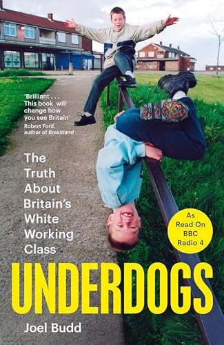 Underdogs: The Truth About Britain's White Working Class by Joel Budd (HB 2025) - Image 7