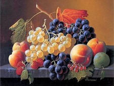 Still life of grape Accent Tile Mural Kitchen Bathroom Backsplash Ceramic 8x6