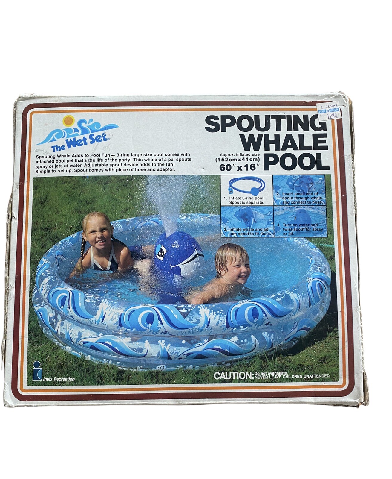 whale inflatable pool