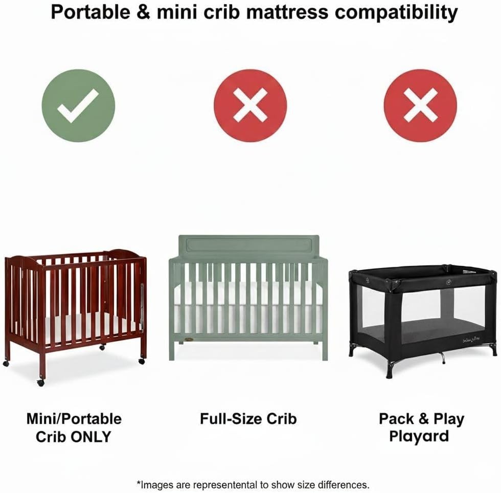 Slide 6