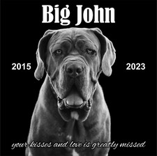 Pet Memorial Stone, Dog Memorial Personalized, Pet Grave Marker, Headstone 12x12