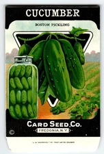 Boston Pickling Cucumber 1920's Card Seed Co Packet EMPTY Vintage Fredonia NY