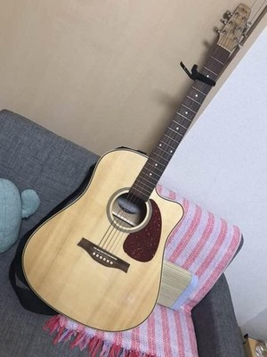 Acoustic Guitar Seagull Godin Performer CWHG QIT SF Canada Eleaco 032464900249