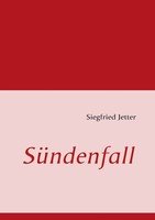 SüNdenfall | Siegfried Jetter | Taschenbuch | 324 S. | Deutsch | 2008