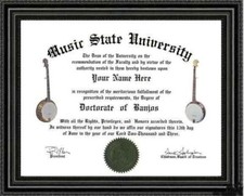 Banjo Lover's Doctorate Diploma / Degree Custom made & Designed for You UNIQUE