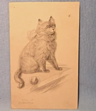 PERSIAN CAT  1912 Artist Pencil Sketch Kitten Watching a Fly w/Ball POSTCARD