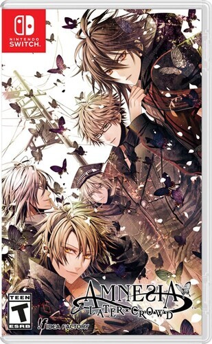 AMNESIA LATER × CROWD Amnesia: Later x Crowd - Nintendo Switch for sale online | eBay