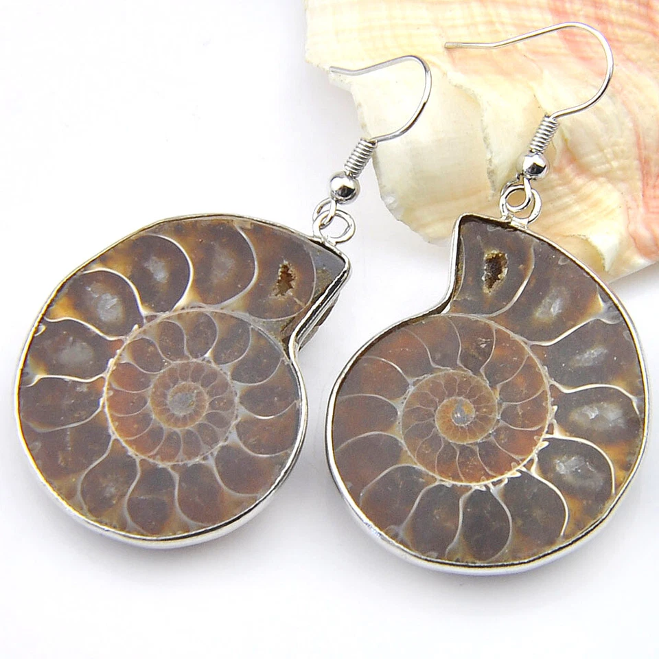 Vintage Silver Natural Ammonite Fossil Gems, Amethyst Gems Silver Hook Earrings  - Image 4 of 4