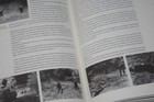 Bild 11 von 13