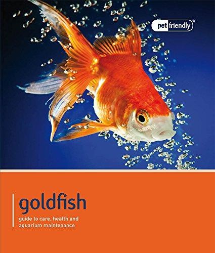 Goldfish - Pet Friendly: Understanding and Caring for Your Pet - Magnet & Steel