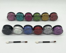 Body  Face Glitter Lot 12 Colors w/ Brushes   Cosmetic Flakes Makeup Set