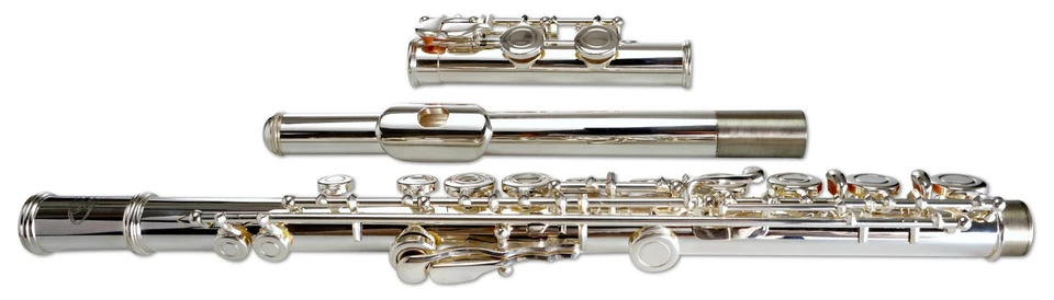 Set Flauto Traverso DO Scuola 16 Fori Nichel Argento Custodia Leggio Kit Pulizia - Immagine 4 di 4