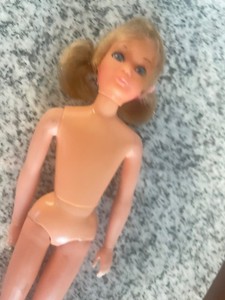 Tnt Skipper | eBay