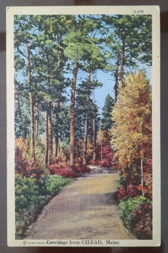 Greetings from Gilead, ME (#2) - 1930-50s, Rough Edges