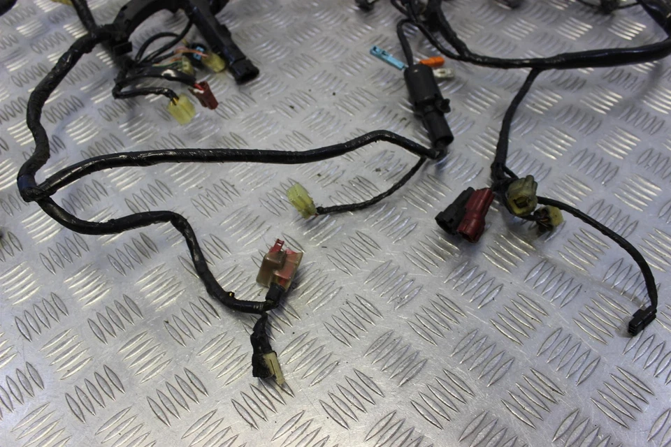 Honda CBR 1000 RR Wiring Harness Main Fireblade 2006 2007 CBR1000RR B146 Foto 4 de 4