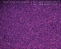 Spectrastone Permaglo Lavender Aquarium Gravel For Freshwater Aquariums, 5-pound on sale Spectrastone Permaglo Lavender Aquarium Gravel For Freshwater Aquariums, 5-pound on sale