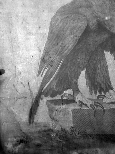 Stampa antica acquaforte Aquila Reale 1796 G. Mantelli Raffaello Albertolli - Picture 10 of 10