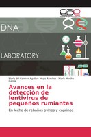 MaríA Del Carmen Aguilar (U. A.) | Avances En La DeteccióN De Lentivirus De...