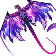 Complete Kite with Handle, Line  Accessories,Easy to Fly for Kids  Adul