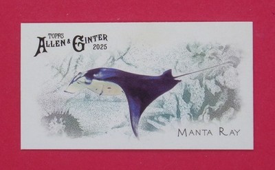 2025 Topps Allen and Ginter Mini 50 Fish from Global Waters - Pick Your Card