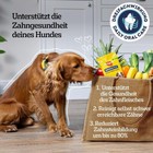 Bild 2 von 12