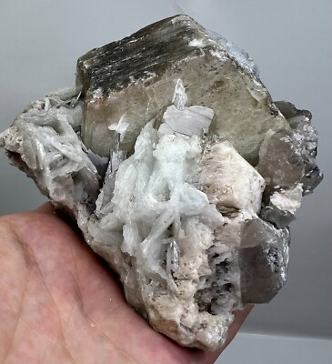 794 GM Wow, Huge Phlogopite Crystal Combine Albite/Quartz From Badakhshan @AFG