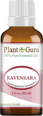 Wild Ravensara Essential Oil (Agathophyllum Aromatica Madagascar) 1 Oz / 30 Ml 1