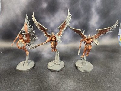 Warhammer Age Of Sigmar Stormcast Eternals Prosecutors. 8684