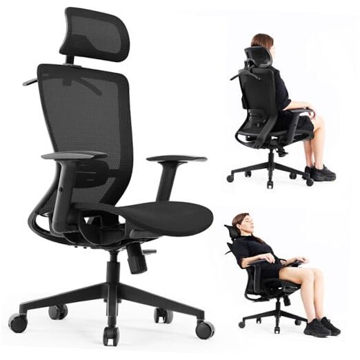 Ergonomic Office Chair, Executive Mesh Desk Chair High Back Computer Black