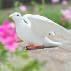 Bild 54 von 64
