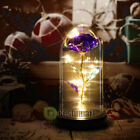 Bild 85 von 148