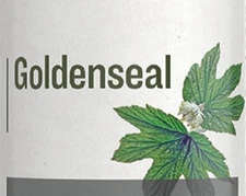 GOLDENSEAL - Natural Antibiotic Digestion & Immune System Support Tincture USA