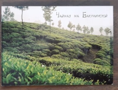 Werbung. Russische Postkarte - Teeplantage