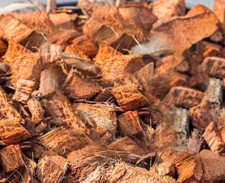 100 Clean Coconut Husk Fiber, Chips Orchids Anthurium Growing Media