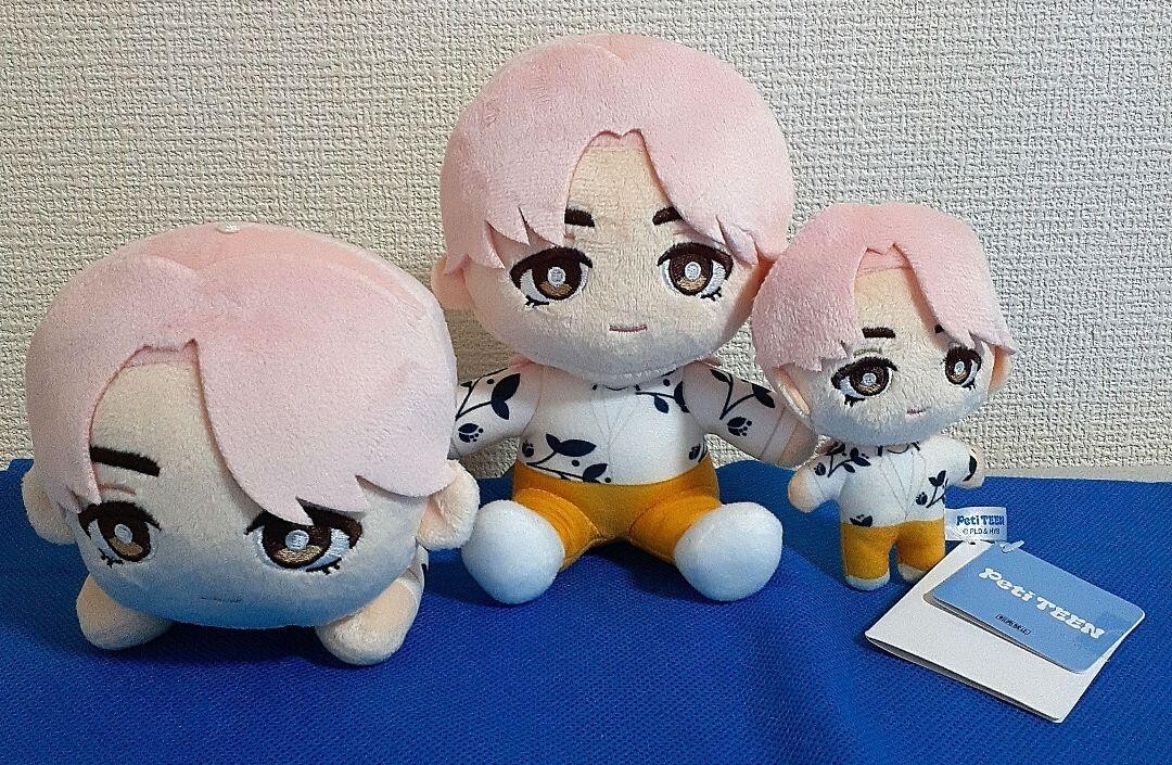 SEVENTEEN PetiTEEN S.Coups Mini Plush Toy Doll Mascot 3 Types Set