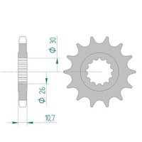 Afam Ritzel #532 17 ZäHne (FüR: Yamaha XJR 1200 SP 4PU 97-98 )