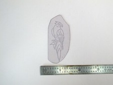 vtg 1960s 1970s Tattoo Flash acetate stencil Parrot v6 BR1