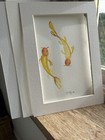 Picture 5 of 6