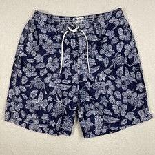 Trunks Surf  Swim Co Mens Swim Shorts Size Large Blue Hibiscus  Pineapple