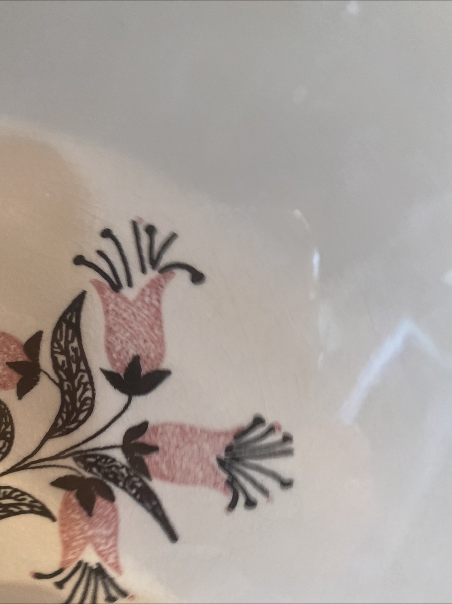 Fuchsia Stetson Potteries Fuchsia Black Pink 1/2” Dinner Plate