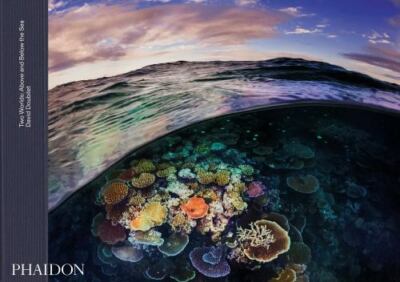 Two Worlds: Above and Below the Sea by 