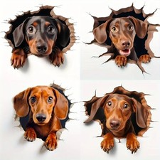 4pcs PEEKING DACHSHUND SAUSAGE DOG Sticker Car Bumper Window Wall Laptop Decals