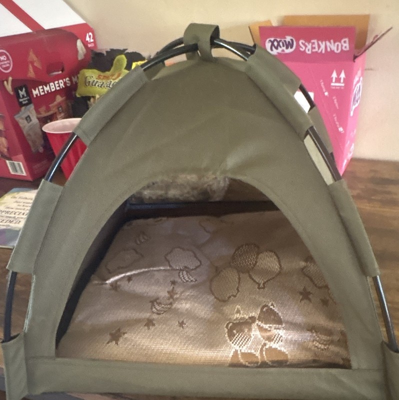 Covered Canvas Tent Style Pet Dog Bed, Size S, Gray, with Cushion Pad