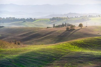 Wandbild: Misty Countryside Landschaft mit sanften Hügeln und Bäumen. [...]